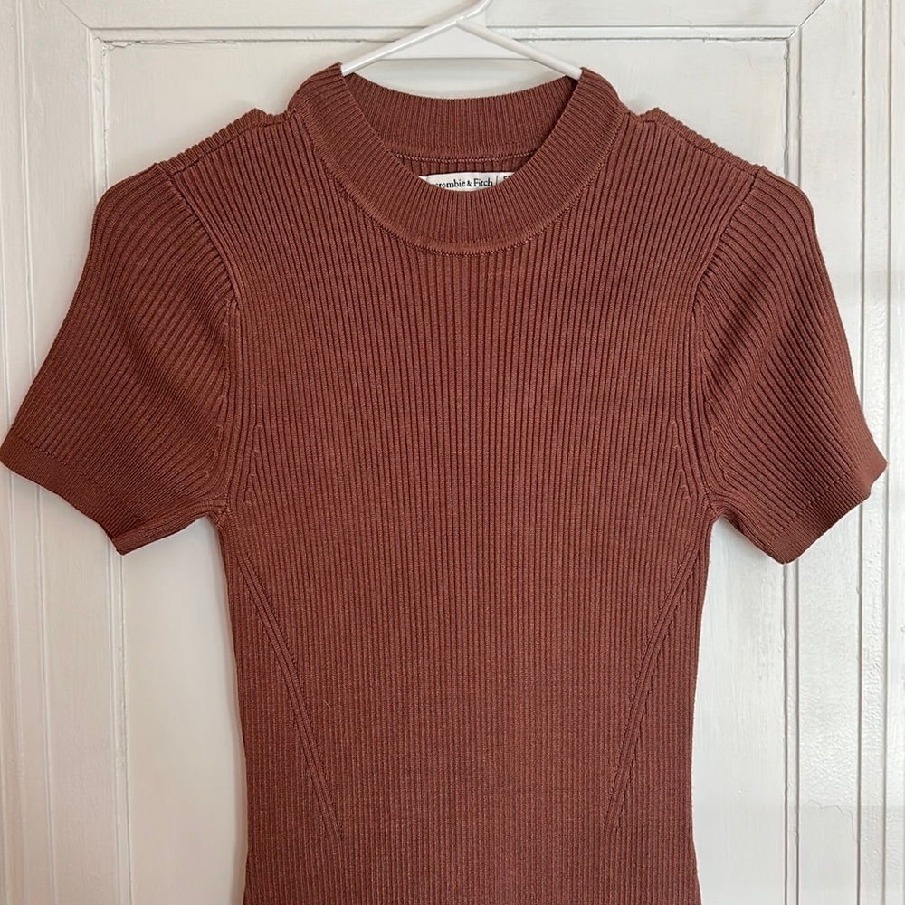 Abercrombie Fitted Knit Dress (S-Tall)